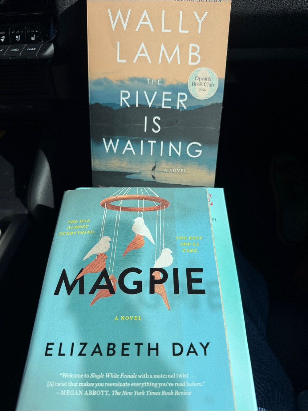 Book: The River is Waiting & Magpie